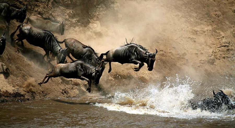 Masai Mara: 3-Day Group Joining Safari by Land Cruiser - Masai village visit: how the culture stop fits (and what to budget)
