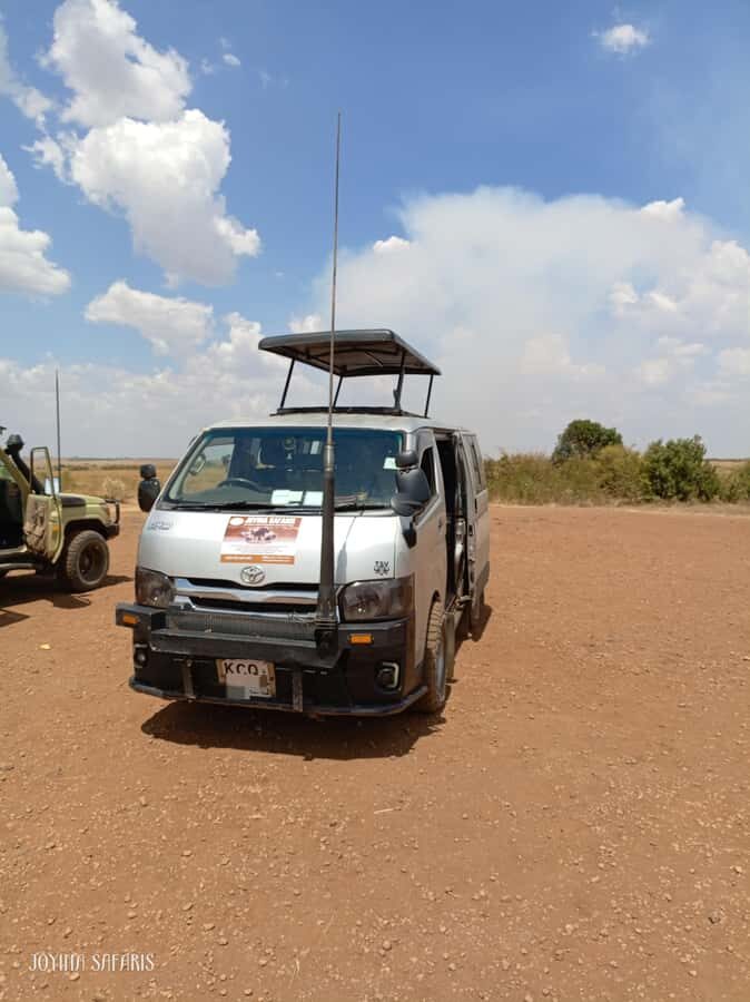 Masai Mara: 3-Day Group Joining Safari by Land Cruiser - Practical tips: timing, comfort, and how to get better sightings