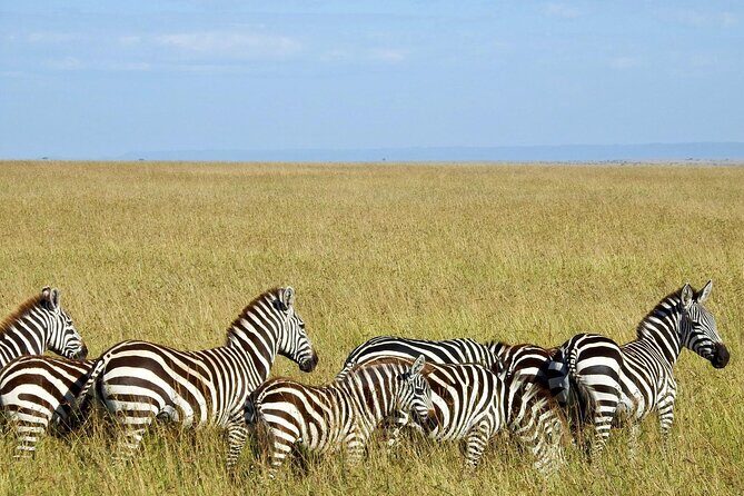 Masai Mara 3Days Safari Adventure - Day 3 return to Nairobi: Mt. Longonot and optional Naivasha-style add-ons