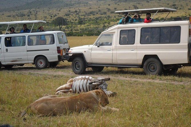 Masai Mara Budget 2 nights tented camp road Safari - Key Highlights You’ll Care About