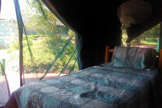 Masai Mara Budget 2 nights tented camp road Safari - Tented Camps and Full-Board Comfort: What Included Means in Real Life