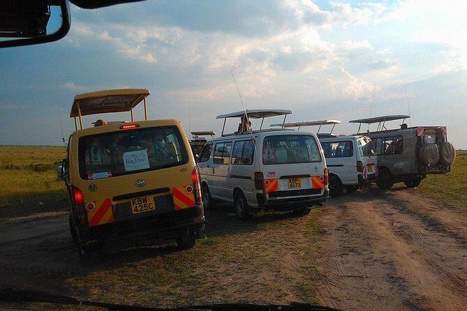 Masai Mara Budget 2 nights tented camp road Safari - Day 2: The Full-Day Game Drive and Picnic Boxes That Keep You Out There