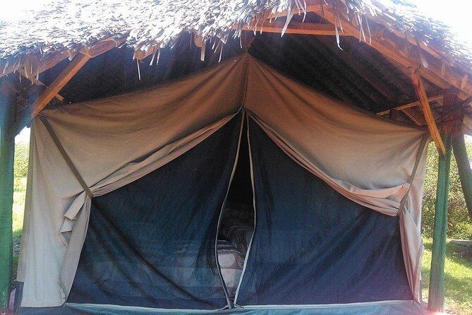 Masai Mara Budget 2 nights tented camp road Safari - Price and Value: Is $650 Per Person Actually a Budget Win?