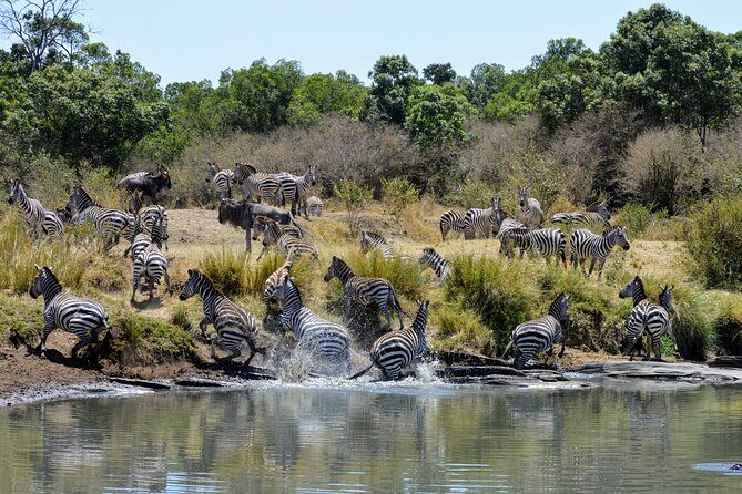 Masai Mara classic safari with optional Masai Village - Why Masai Mara Is the Right Target for a 3-Day Trip