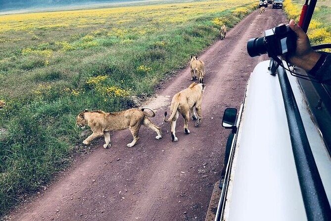 Masai Mara classic safari with optional Masai Village - Masai Village Add-On: A Simple Way to Add Culture (With a Clear Price)