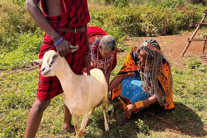 Masai village Cultural afternoon Experience - Live entertainment and warrior welcome: how to enjoy it respectfully
