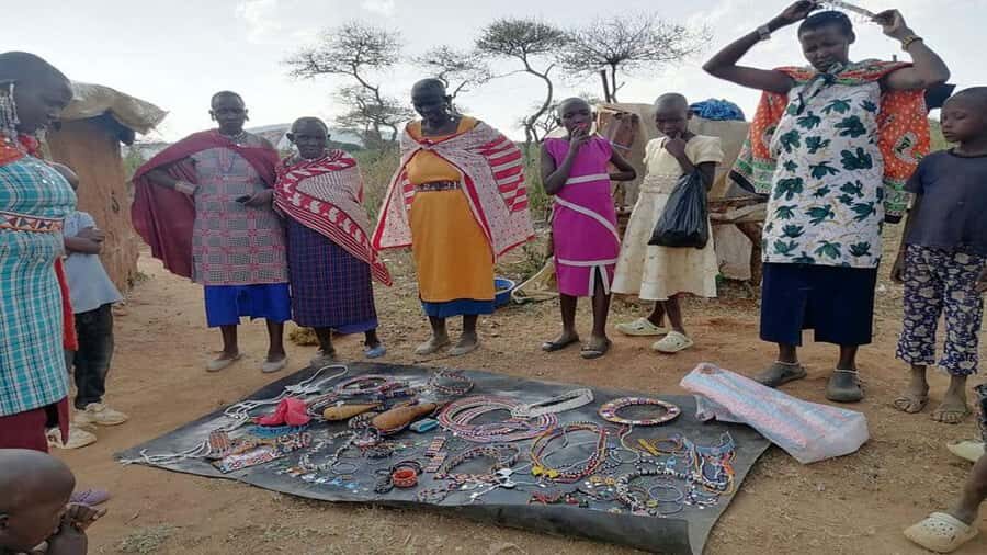 Masai Village Experience (Day trip) - Who this tour suits best (and who should think twice)
