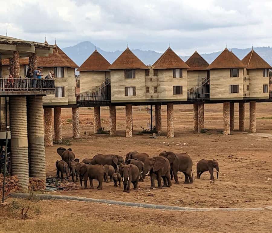 Mombasa: 2-Day Safari to Taita Hills Game Sanctuary - From Mombasa to Taita Hills: the drive that shapes the whole trip