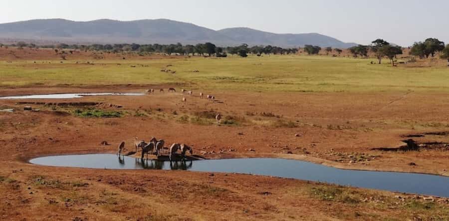 Mombasa: 2-Day Safari to Taita Hills Game Sanctuary - Who should book this safari (and who should skip it)