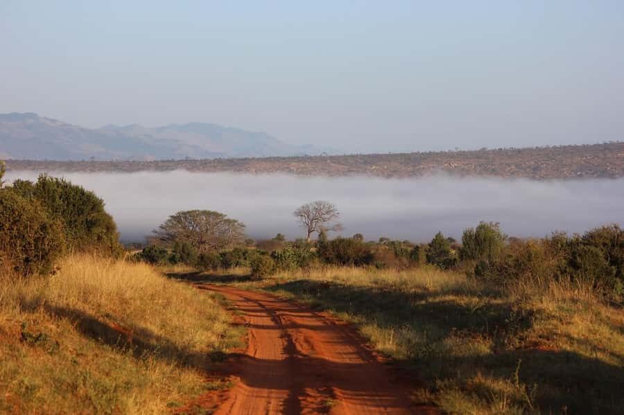 Mombasa: 3-Days 2-Nights Tsavo East and West Private Safari. - What the guide does with a private safari vehicle