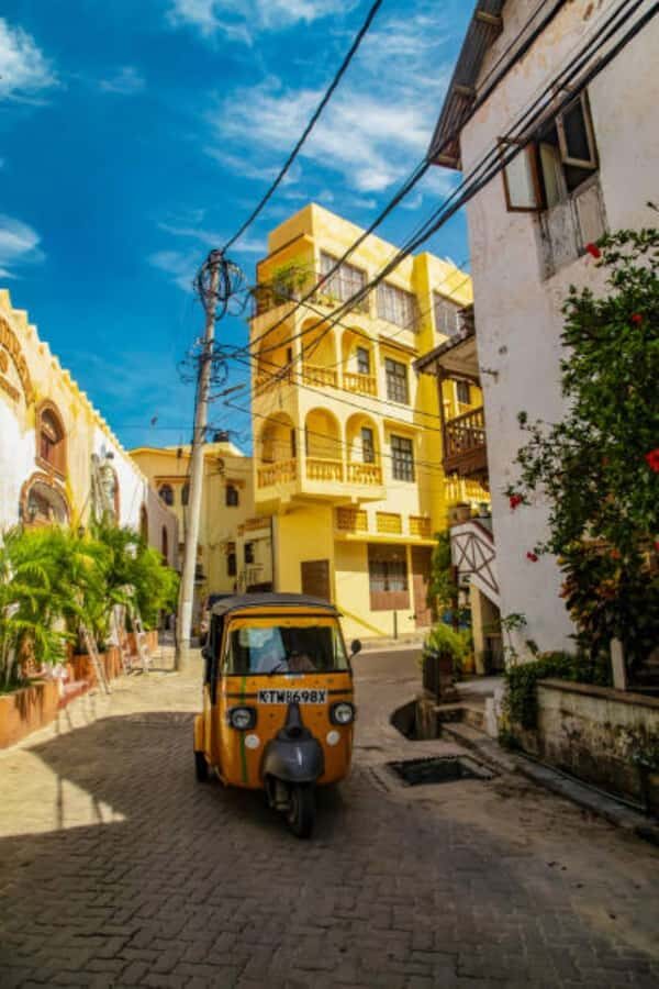 Mombasa: City, Fort Jesu, Old Town and Spice Market Tour - Old Town alleys and Swahili doors: where styles collide