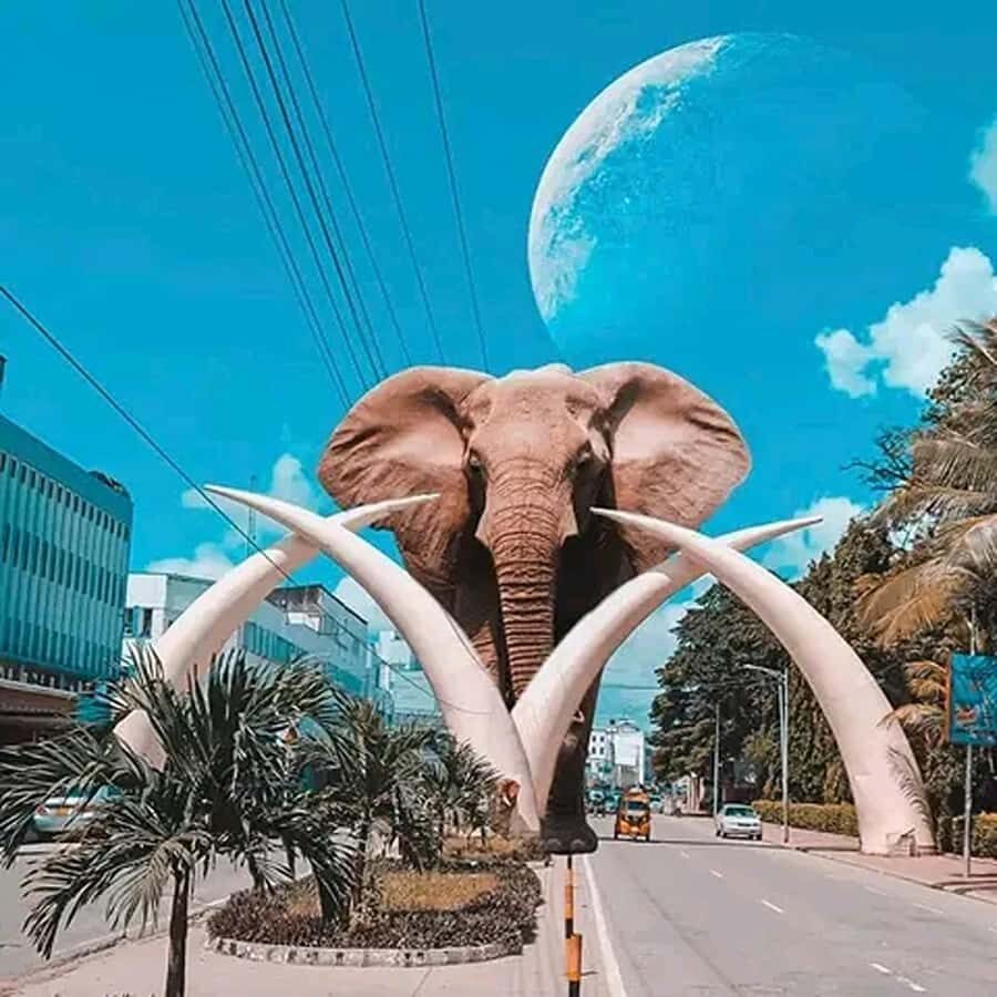 Mombasa: City Heritage Walking Tour with Tuk Tuk Ride. - Key things you’ll notice on this Mombasa heritage walk