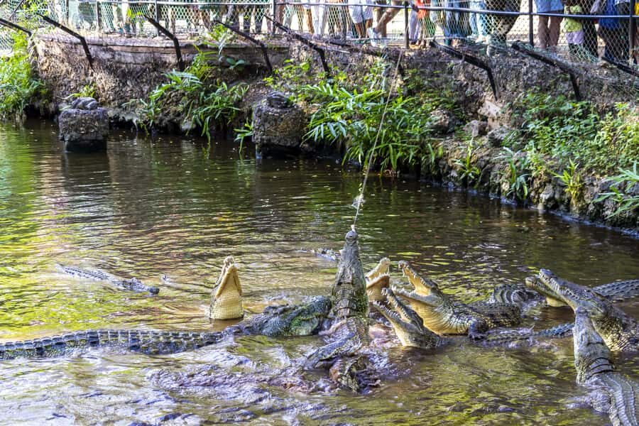 Mombasa City Tour: Fort Jesus Museum, Old Town & Haller Park - Old Town Mombasa: narrow lanes, markets, and Swahili street life