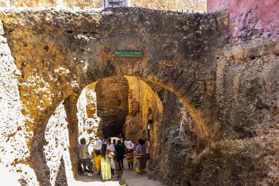 Mombasa City Tour: Fort Jesus Museum, Old Town & Haller Park - Who should book this Mombasa tour (and who should think twice)