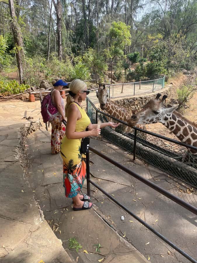 Mombasa Full Day City tour & Haller Park - Fort Jesus: Portuguese walls, spice trade strategy, and early visitors