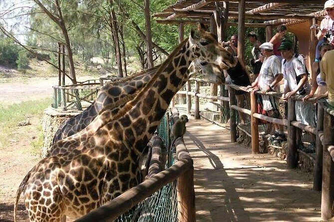 Mombasa Getaway with Haller Park Tours - Price and value: $120 plus the entrance fees to plan for