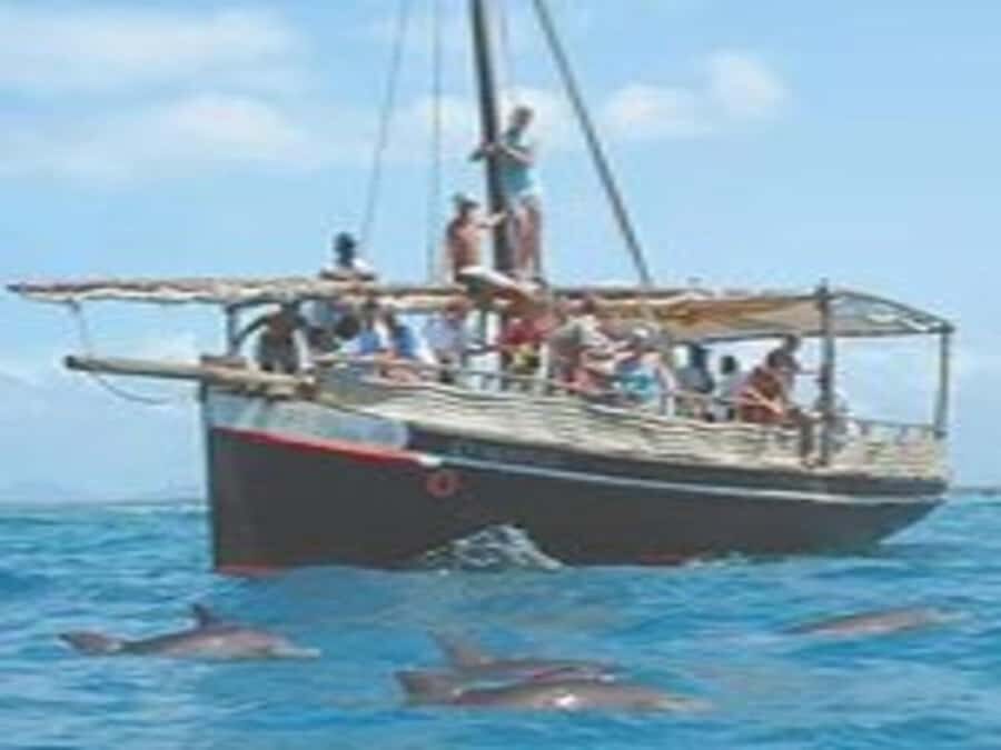 Mombasa: Snorkeling, Dolphin watching, seafood lunch. - Key points before you go
