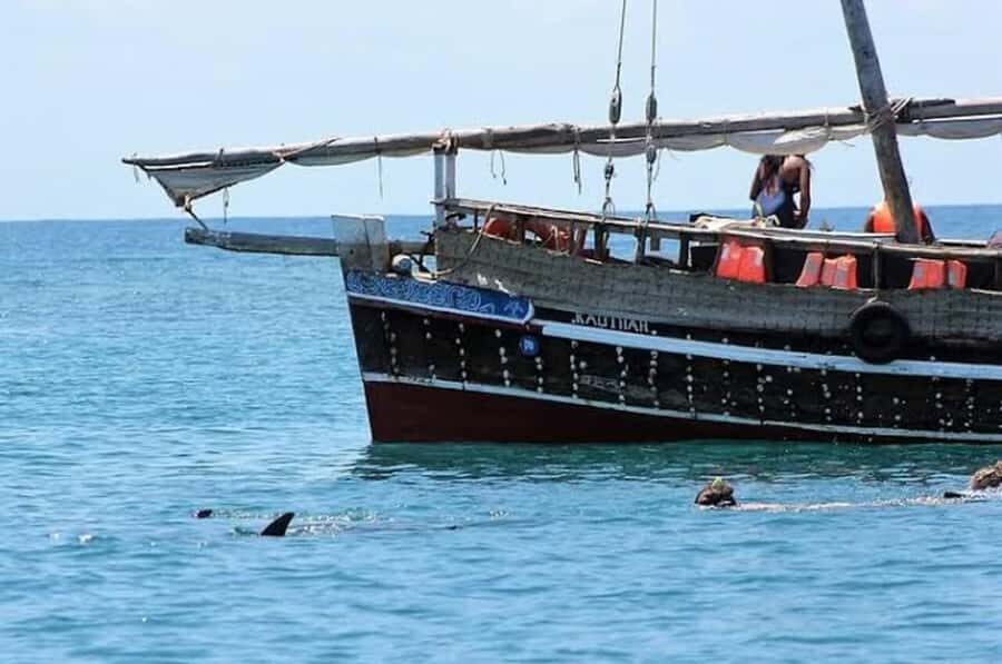 Mombasa: Snorkeling, Dolphin watching, seafood lunch. - Getting from Diani or Mombasa to the water: van time and boat style