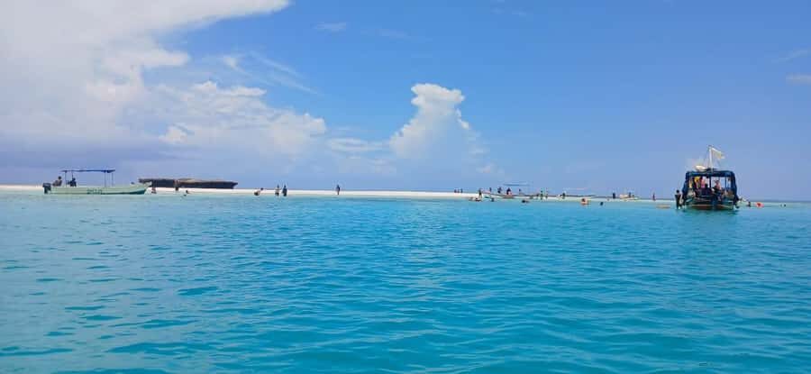 Mombasa: Wasini Dolphin Tour - Wasini and Kisite: why dolphin watching here feels different