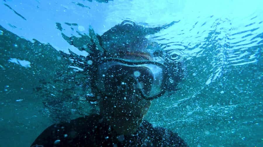 Mombasa: Wasini Dolphin Tour - The shared-van day: what 12 hours really feels like