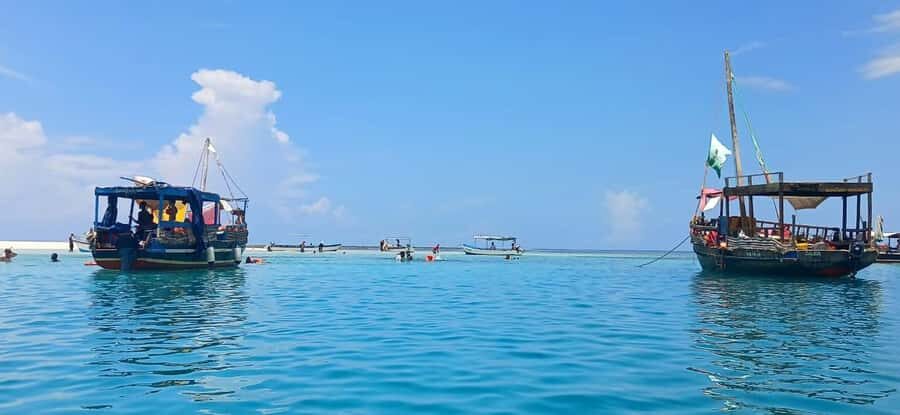Mombasa: Wasini Dolphin Tour - The early pickup from Nyali, Mombasa, and Diani (and why it matters)