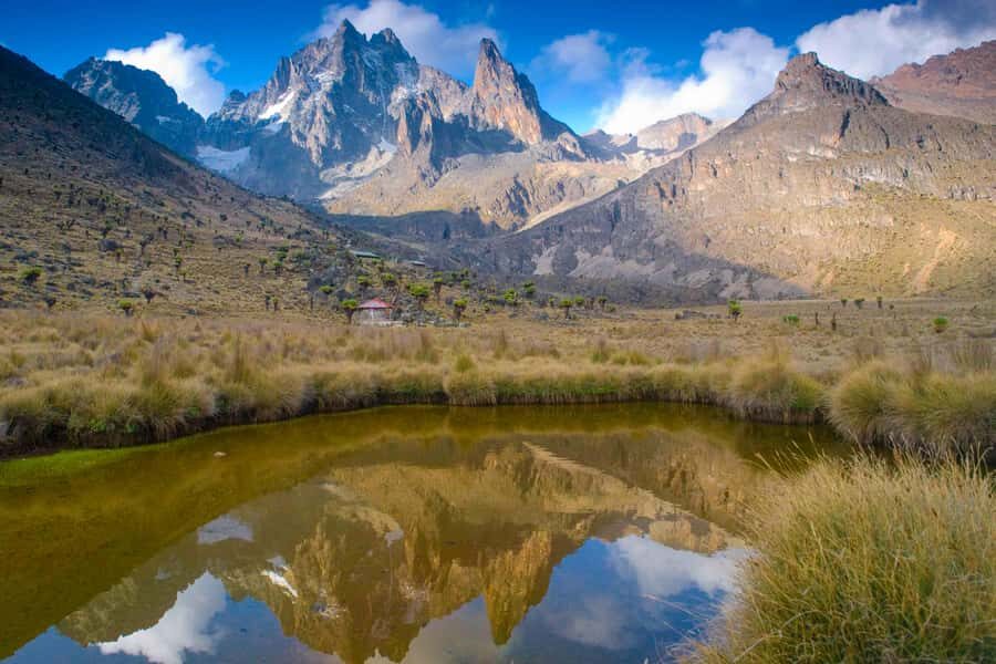 Mt Kenya: Full-day hiking tour from Nairobi - Bamboo Groves and the Climb Pace You Can Actually Manage