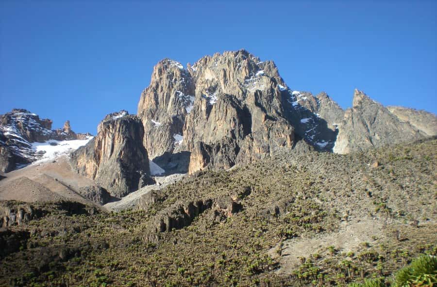 Mt Kenya: Full-day hiking tour from Nairobi - Wildlife Chances: What You Should Realistically Look For