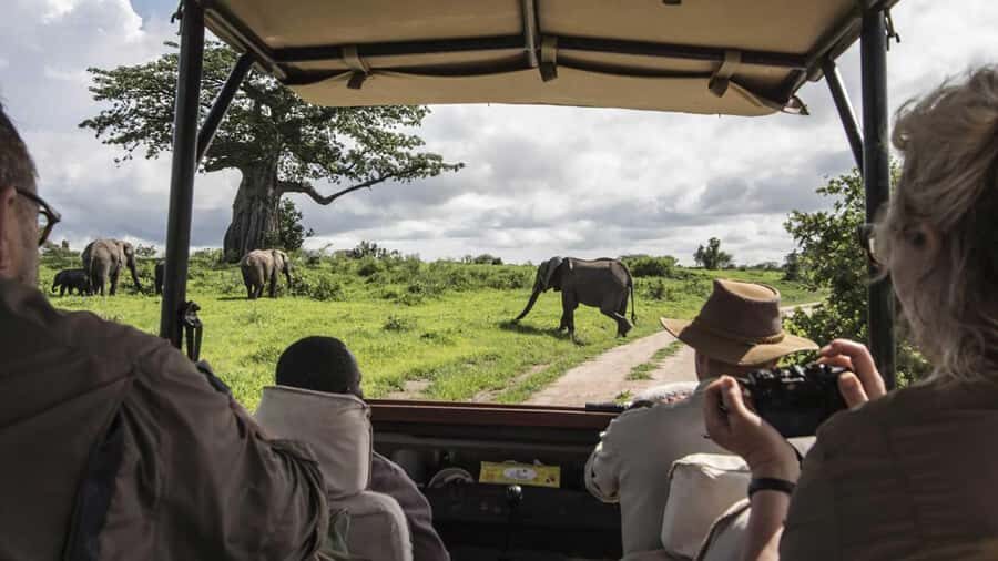 Nairobi: 3-Day Maasai Mara Group Tour with 4X4 Jeep Safari - Key things that make this safari work