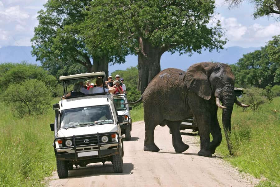 Nairobi: 3-Day Maasai Mara Group Tour with 4X4 Jeep Safari - Day 1 from Nairobi to Maasai Mara: the Great Valley Viewpoint and your first game drive