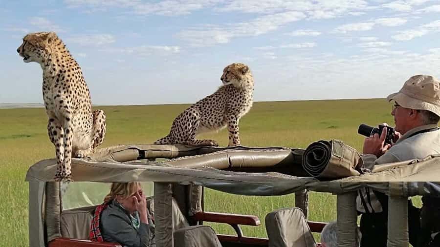 Nairobi: 3-Day Maasai Mara Group Tour with 4X4 Jeep Safari - Day 2 in Maasai Mara: full-day plains viewing and Mara River hippo time