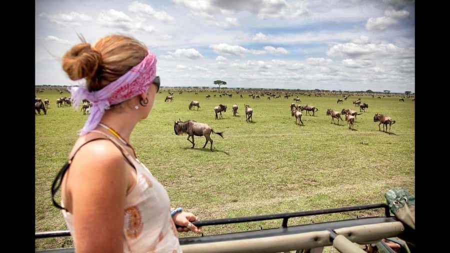 Nairobi: 3-Day Maasai Mara Group Tour with 4X4 Jeep Safari - Day 3 Maasai Mara back to Nairobi: lunch routing and arrival around 3:30 pm