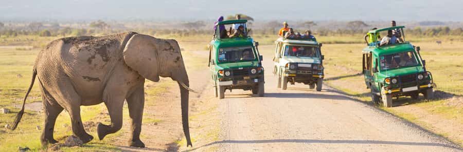 Nairobi: 3-Day Maasai Mara Group Tour with 4X4 Jeep Safari - Optional hot air balloon and Maasai village: add-ons that change the feel