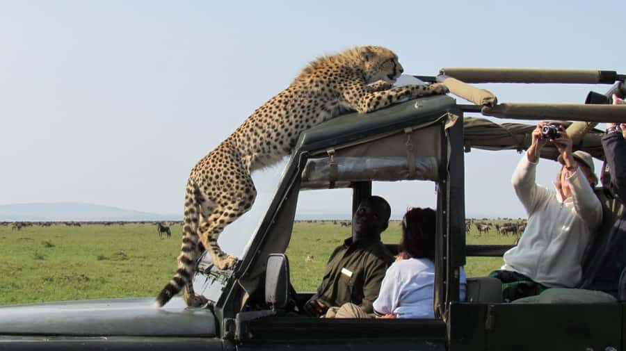 Nairobi: 3-Day Maasai Mara Group Tour with 4X4 Jeep Safari - Tented camp reality check: beds, flush toilets, hot showers (and what to ask)