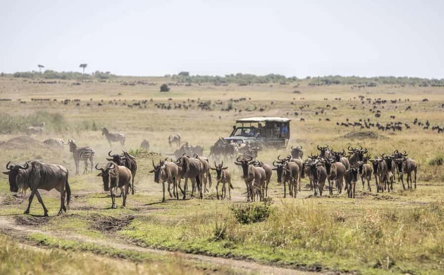 Nairobi: 4-Day Masai Mara, Lake Naivasha & Hell's Gate Tour - Key highlights to look for