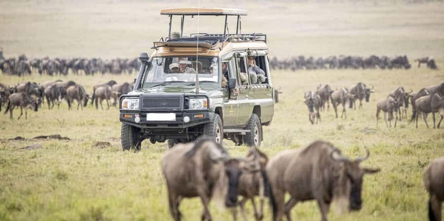 Nairobi: 4-Day Masai Mara, Lake Naivasha & Hell's Gate Tour - From Nairobi to Masai Mara: that first Rift Valley viewpoint stop
