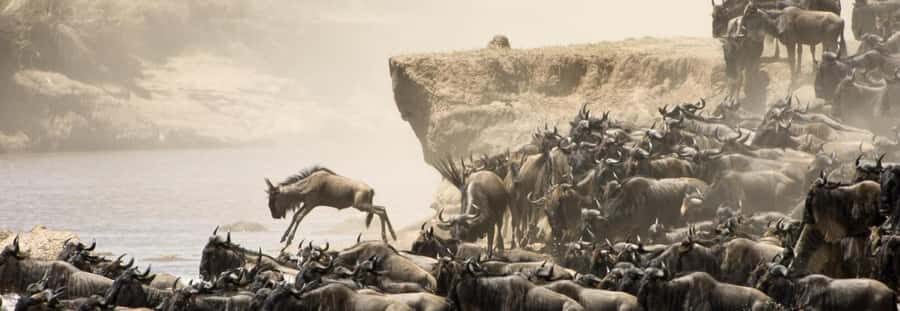 Nairobi: 4-Day Masai Mara, Lake Naivasha & Hell's Gate Tour - What you do each day (without the fluff)