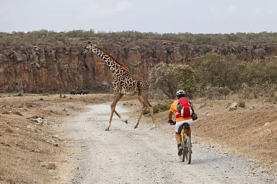 Nairobi: 4-Day Masai Mara, Lake Naivasha & Hell's Gate Tour - Full-day Masai Mara game drives for Big Five energy
