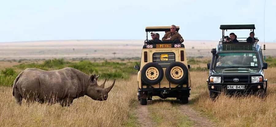 Nairobi: 4 Days Masai Mara & Lake Nakuru 4WD Camping Safari - Day 4: White rhinos and possible pink flamingos near the lake
