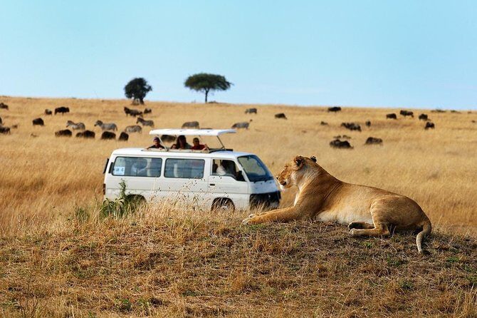 Nairobi Airport Layover Half Day Tour Nairobi National Park - Small group size: why seven people matters