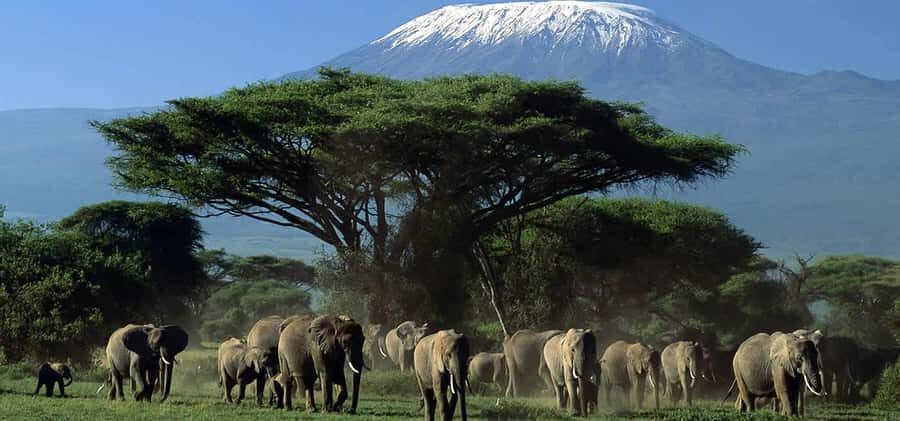 Nairobi: Amboseli National Park Day Trip with Masai Village - Observation Hill: The Vantage Point That Lets You Stretch Your Legs