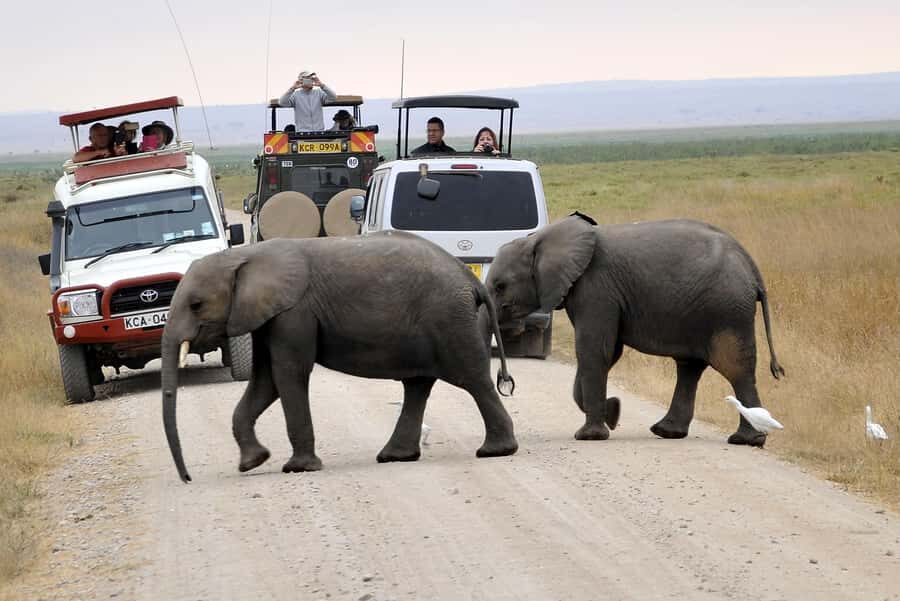 Nairobi: Amboseli National Park Tour & Maasai Village Visit - Key Things You’ll Notice