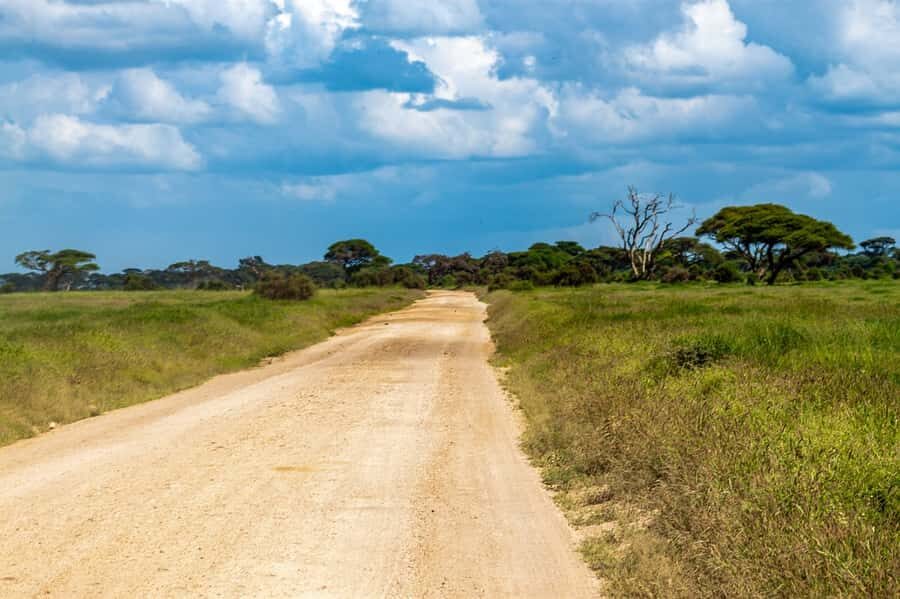 Nairobi: Amboseli National Park Tour & Maasai Village Visit - Amboseli + Kilimanjaro: What Makes This One-Day Tour Worth It