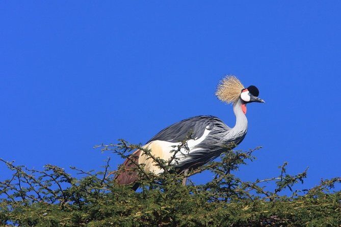 Nairobi City Tour - Key highlights you’ll actually care about