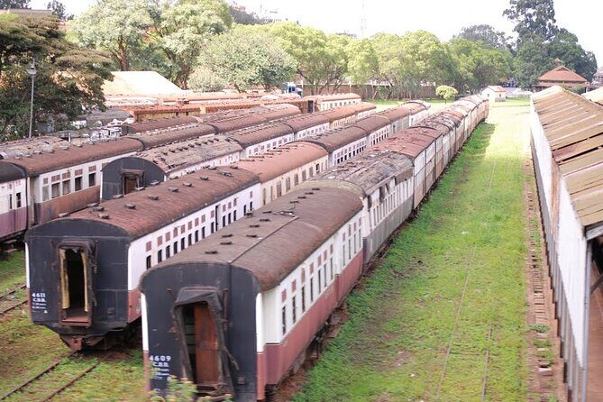 Nairobi City Tour - Why this 3-hour Nairobi city tour is great for your first day