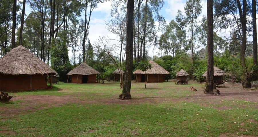 Nairobi: City Tour with Bomas of Kenya Visit - Key Highlights You’ll Actually Feel