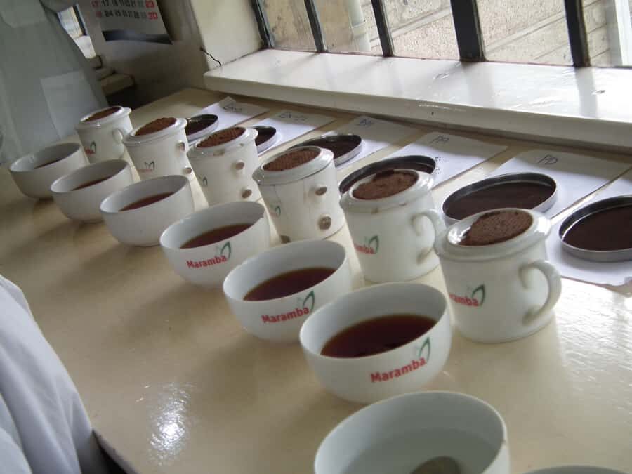 Nairobi: Coffee Farm and Factory Tour with Tasting - The Possible Game Drive: Lions, Cheetahs, Buffalo, and Customized Vehicles