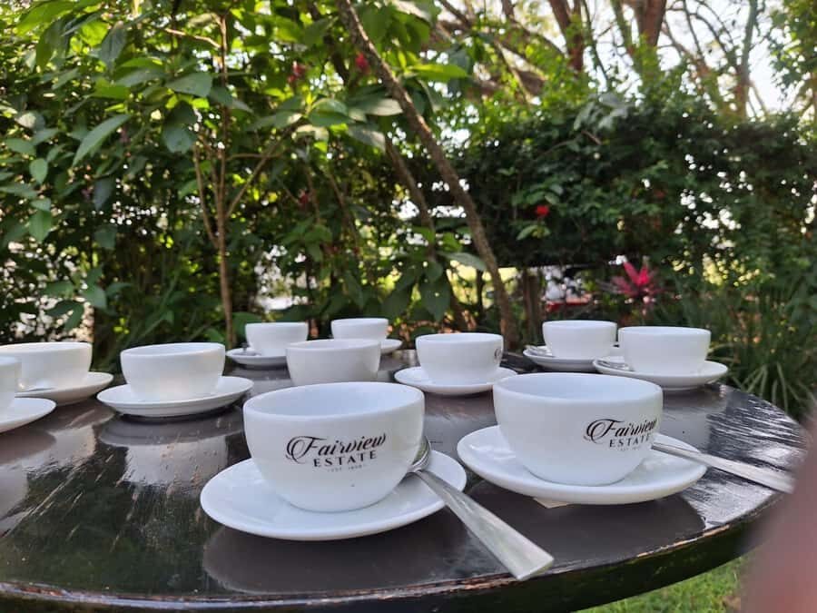 Nairobi: Coffee farm tour with pick up - Key highlights to look for