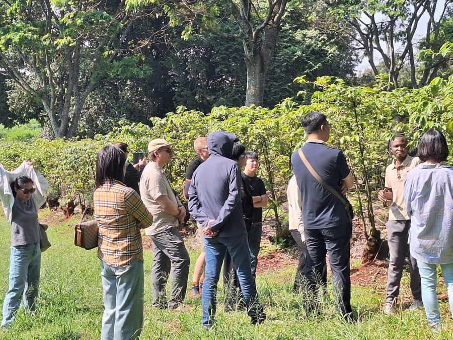 Nairobi: Coffee farm tour with pick up - Who this Nairobi coffee tour suits best