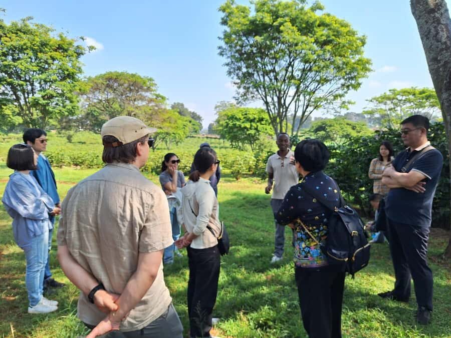 Nairobi: Coffee farm tour with pick up - Pickup at 9:00 AM and getting to the coffee country