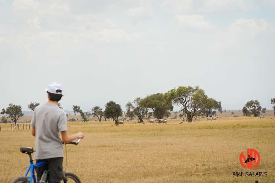 Nairobi: E-Bike/Cycling Wildlife Safari with Transfer & meal - From Nairobi pickup to the safety briefing: how the day stays smooth